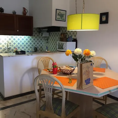Perto Da Coelha *