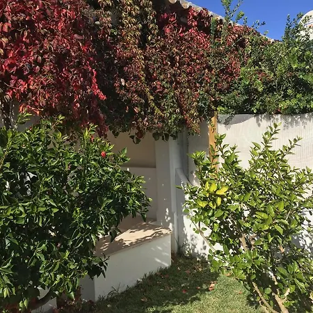 Perto Da Coelha * Albufeira