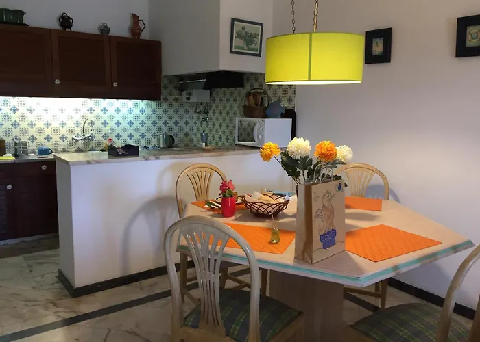Perto Da Coelha *