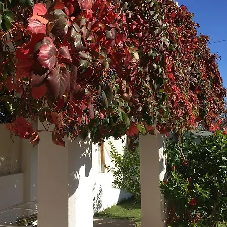 Perto Da Coelha אלבופיירה